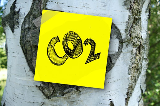 【日本人のための環境用語集】二酸化炭素回収・貯留(Carbon Dioxide Capture and Storage)とは?