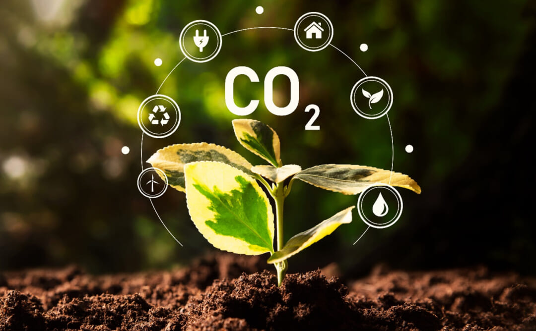 【日本人のための環境用語集】炭素市場(Carbon Market)とは?