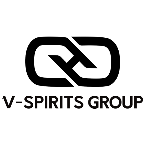 V-SPIRITS GROUPE